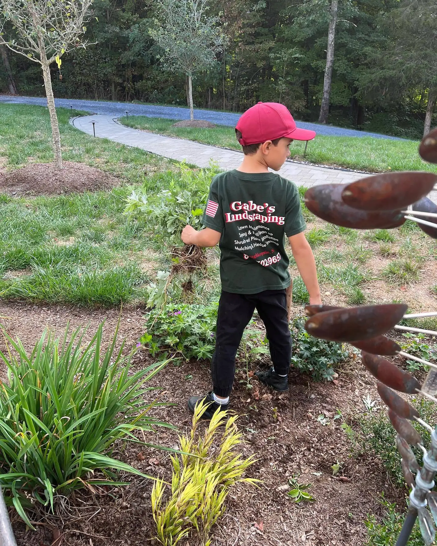 Lawn Installation